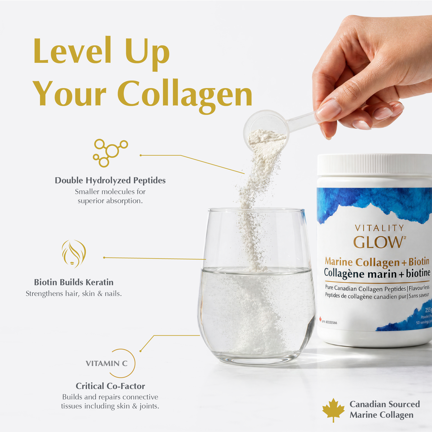 Marine Collagen + Biotin
