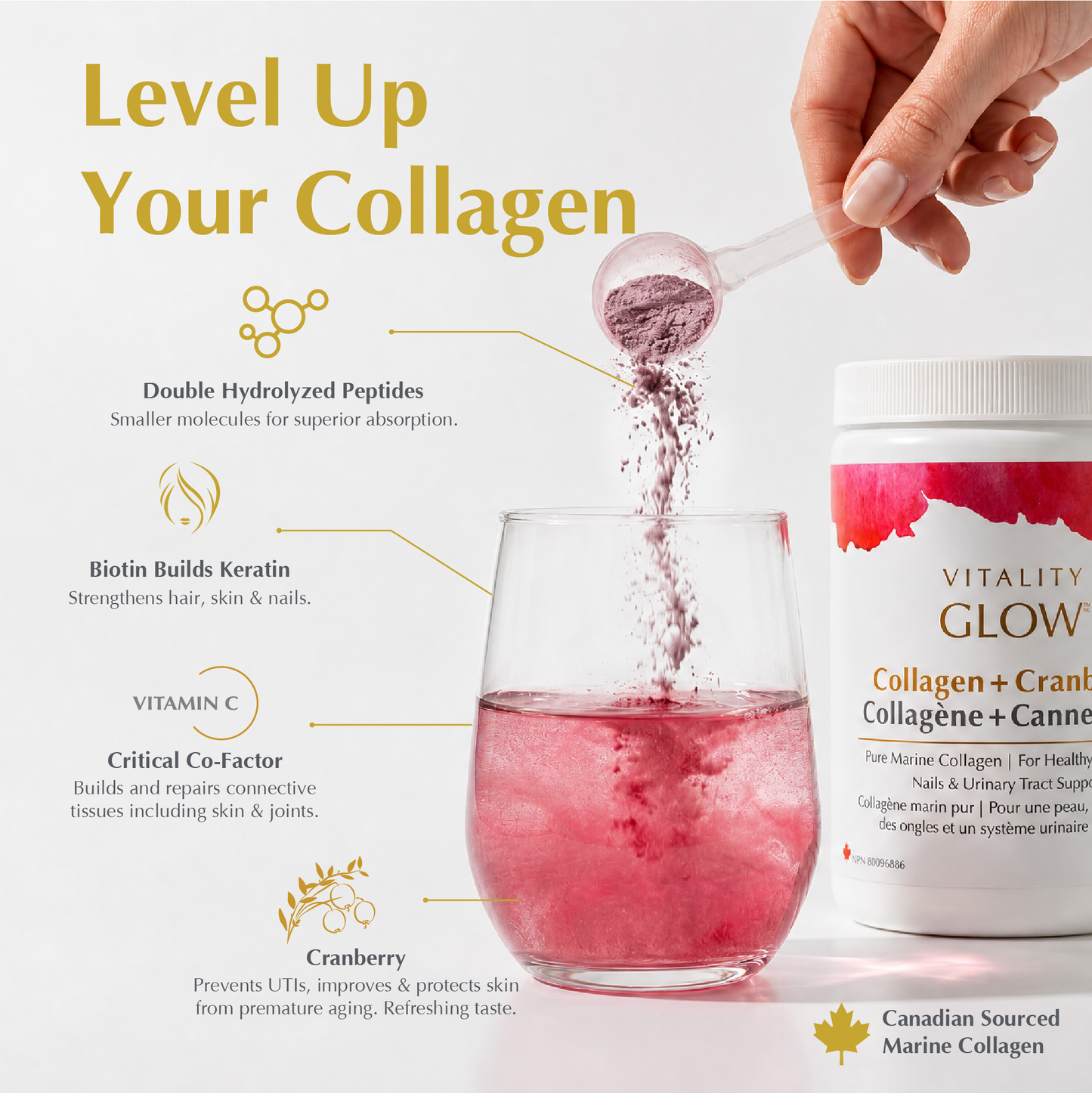 Marine Collagen + Cranberry