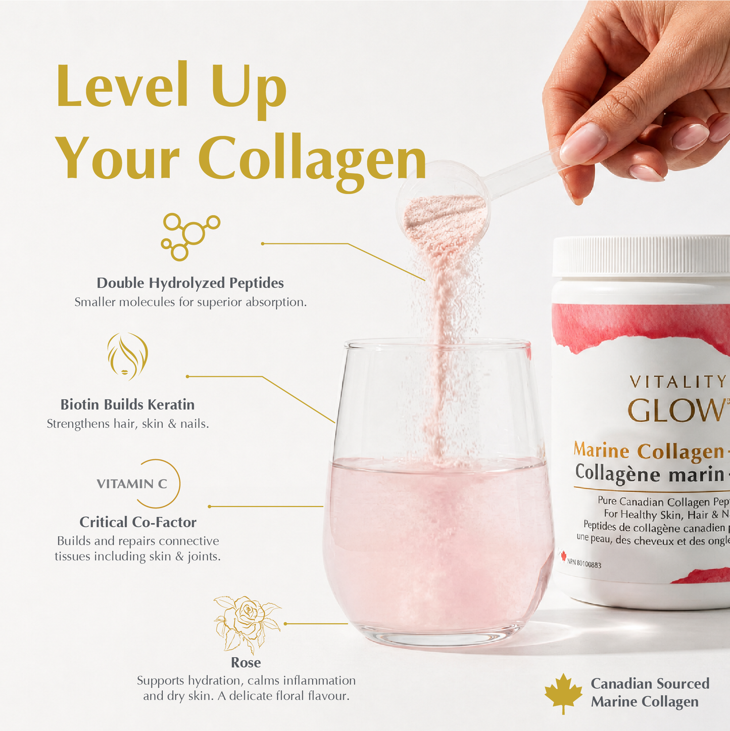 Marine Collagen + Rose